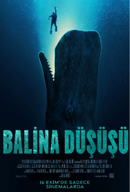 Balina Düşüşü